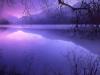 Purple Haze over Lake Crescent, Olympic National